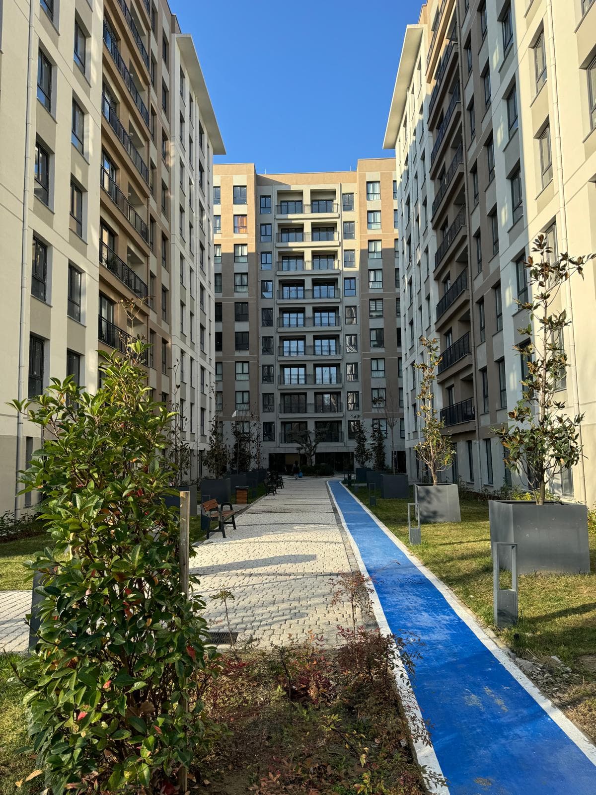 Apartment 7