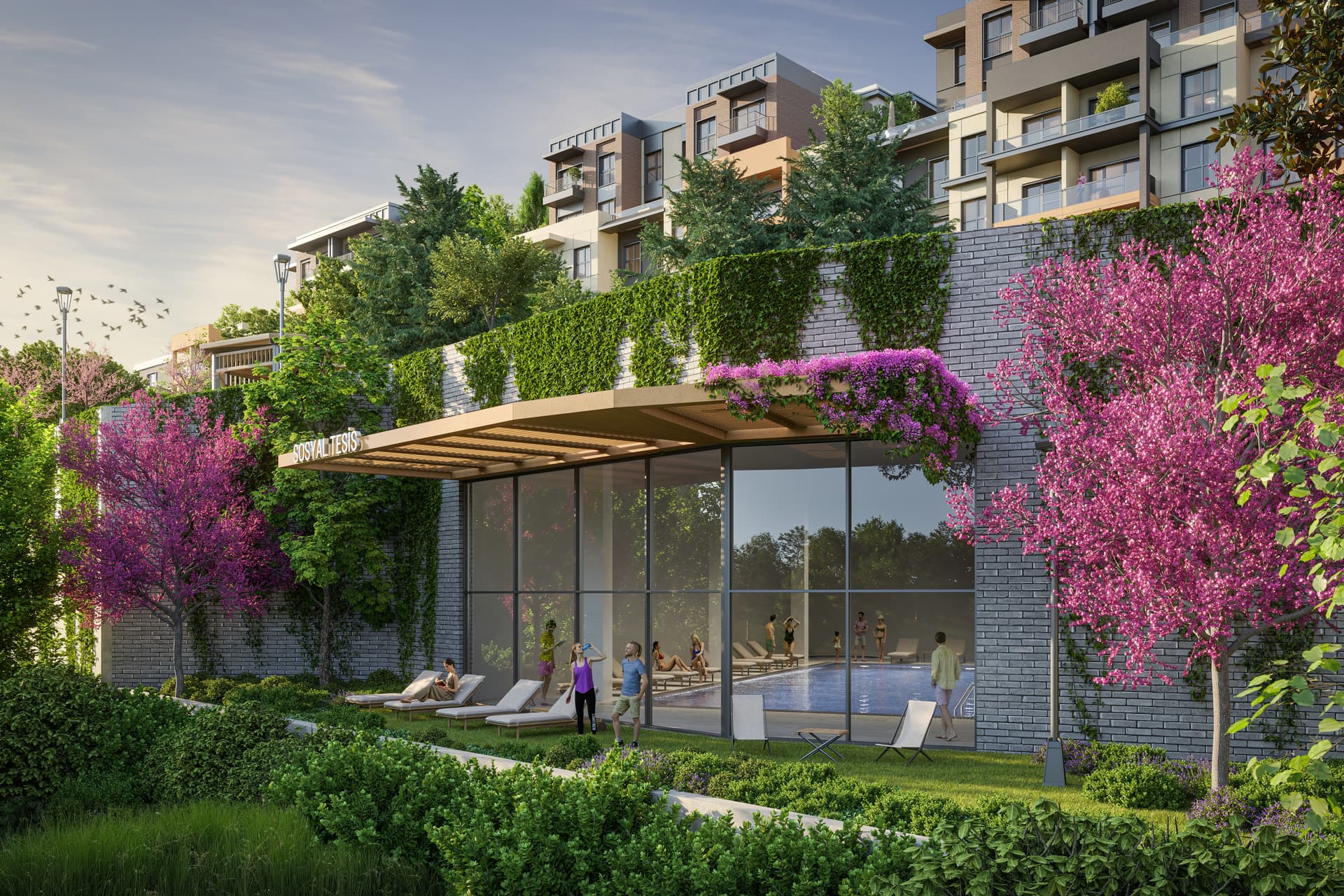 Apartment 2